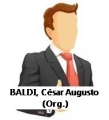 BALDI, César Augusto (Org.)